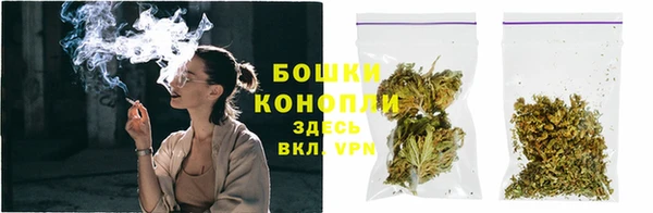 эйфоретик Дмитриев