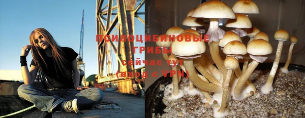 эйфоретик Дмитриев