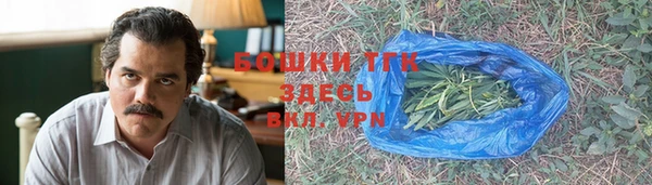 эйфоретик Дмитриев