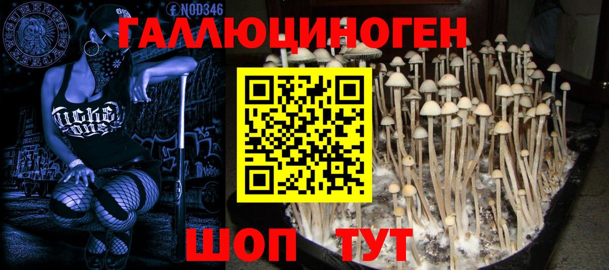 Североморск  Псилоцибиновые грибы мицелий  Псилоцибиновые грибы мицелий  Вход с VPN 